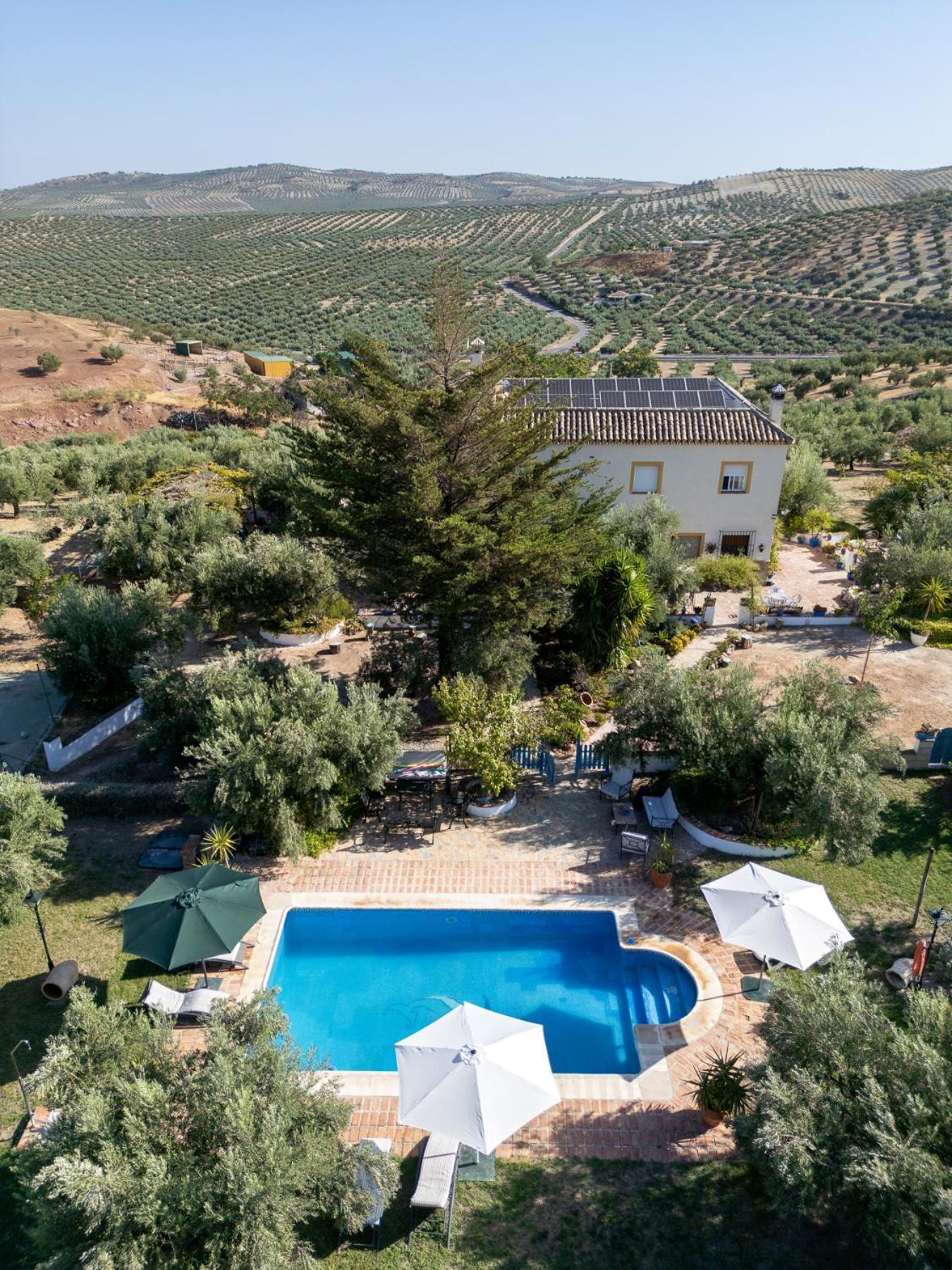 Agroturismo Ecologico El Cortijillo Luque Exterior photo