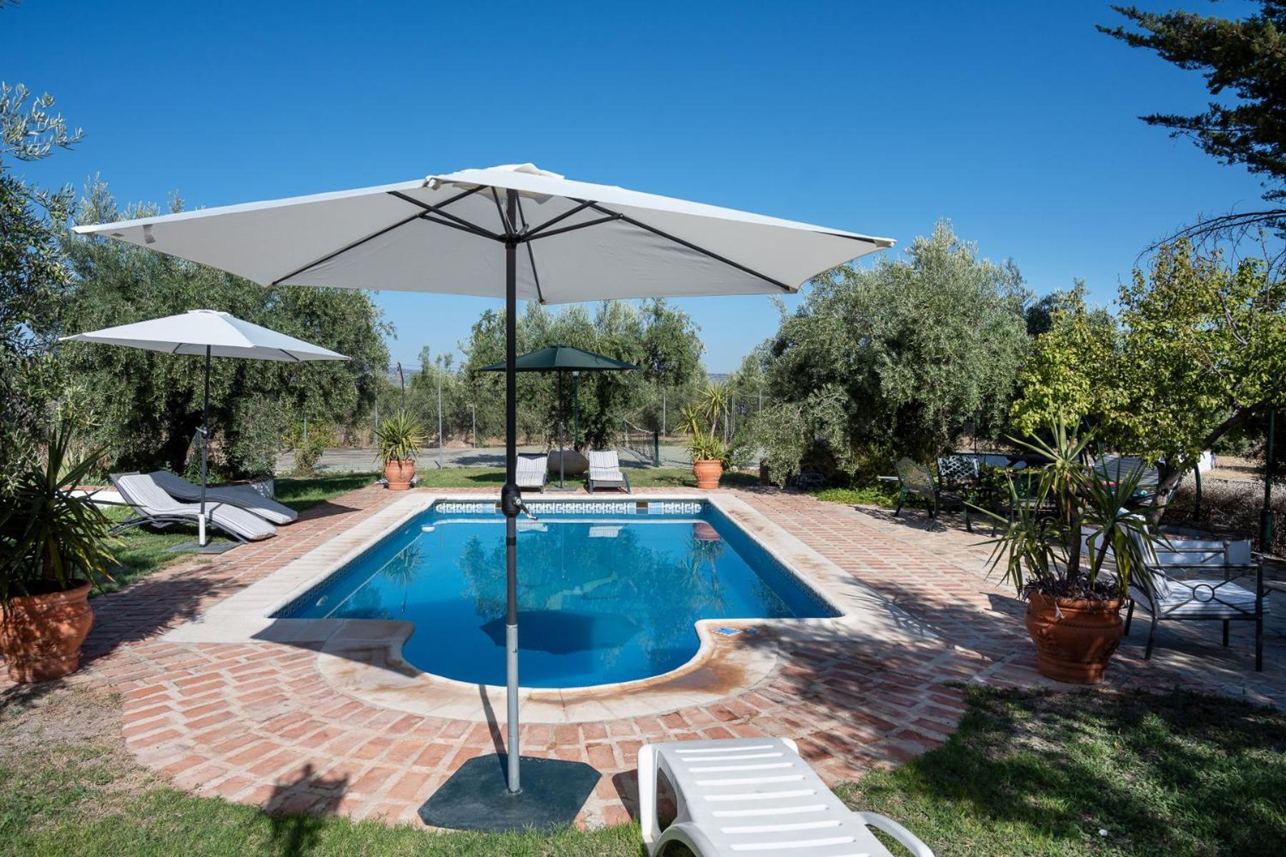 Agroturismo Ecologico El Cortijillo Luque Exterior photo