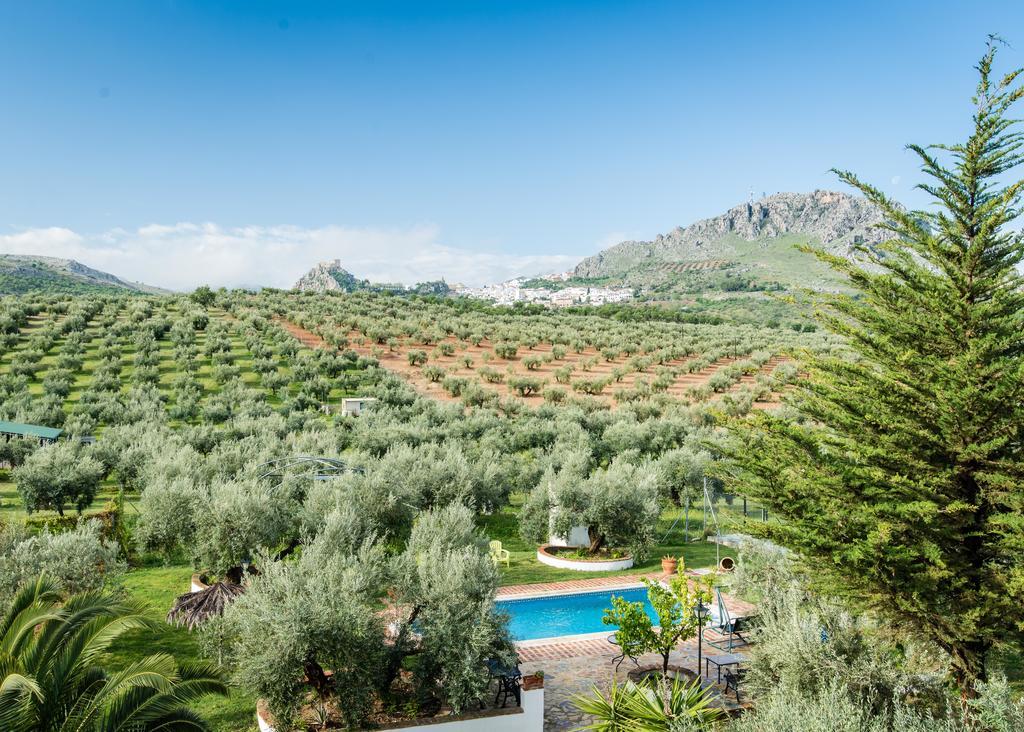 Agroturismo Ecologico El Cortijillo Luque Exterior photo